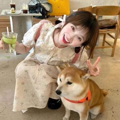 人间大炮3